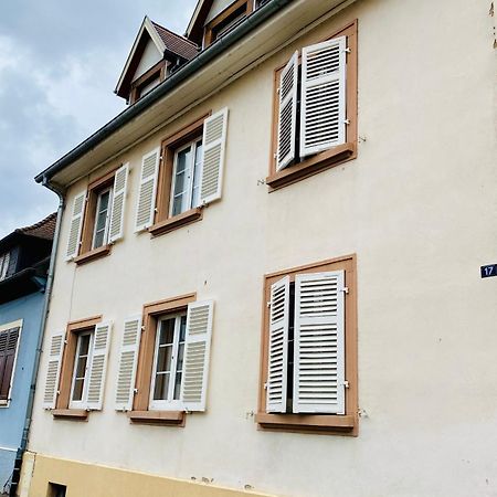 L'Envolee Alsacienne - Magnifique Appartement En Duplex Ostheim Dış mekan fotoğraf