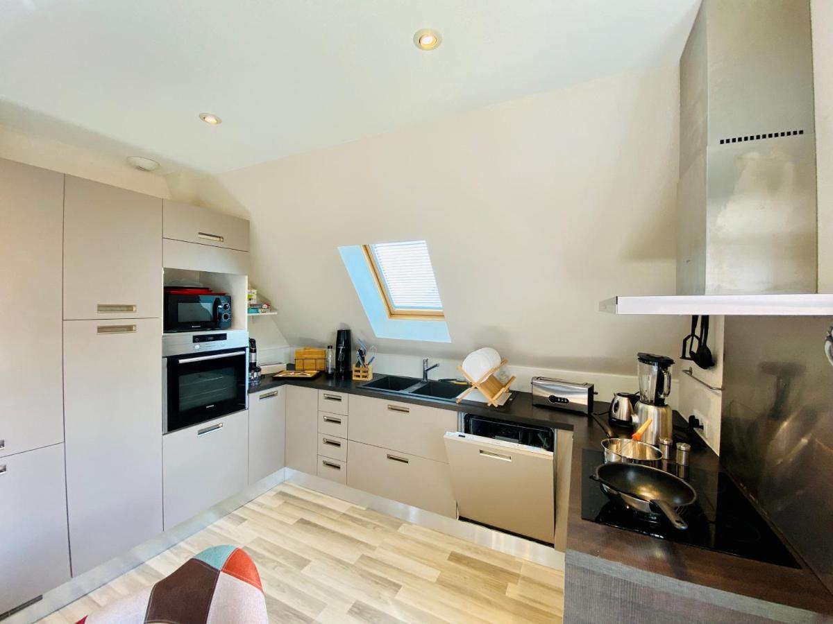 L'Envolee Alsacienne - Magnifique Appartement En Duplex Ostheim Dış mekan fotoğraf