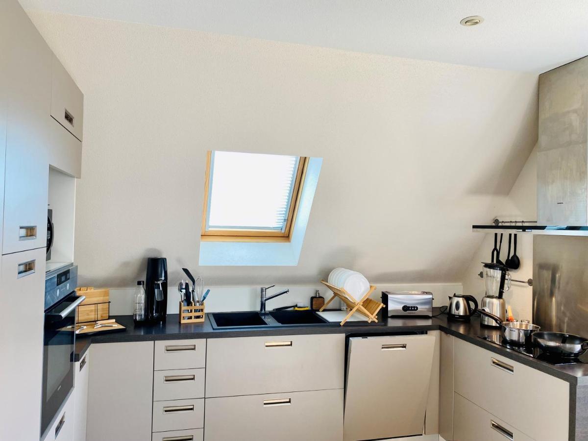 L'Envolee Alsacienne - Magnifique Appartement En Duplex Ostheim Dış mekan fotoğraf