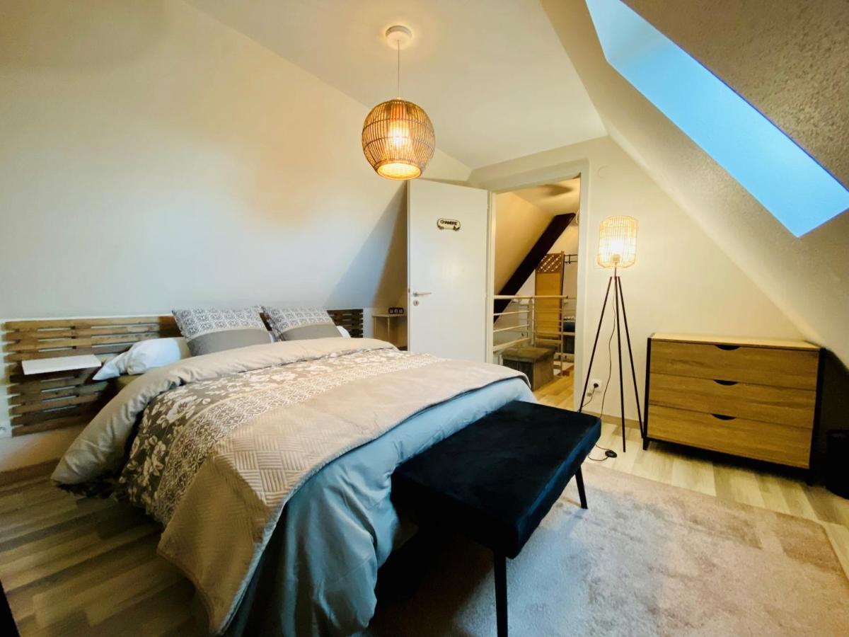 L'Envolee Alsacienne - Magnifique Appartement En Duplex Ostheim Dış mekan fotoğraf