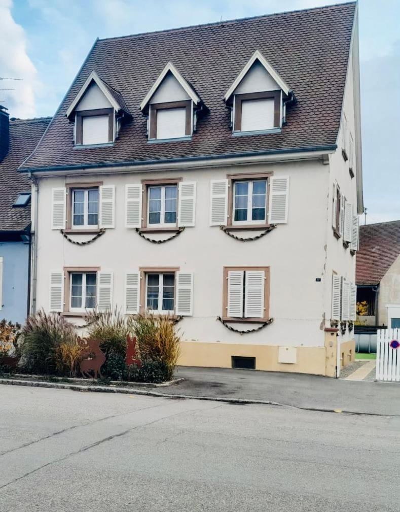 L'Envolee Alsacienne - Magnifique Appartement En Duplex Ostheim Dış mekan fotoğraf